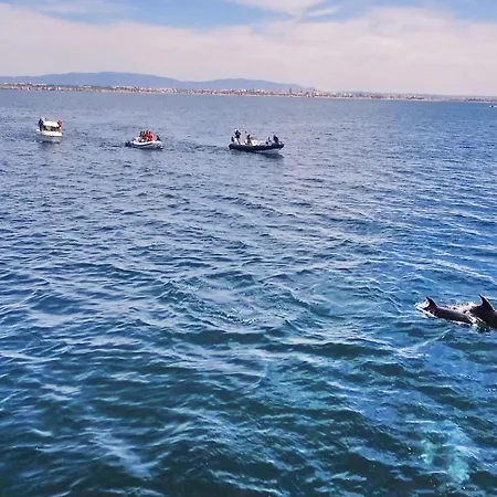 Ipanema 1 By Algarve Vacation Lejlighed *