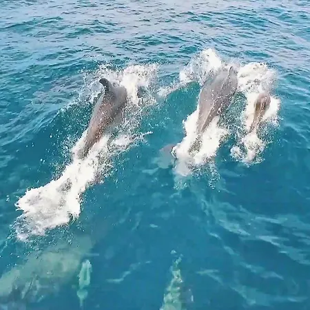 Ipanema 1 By Algarve Vacation Apartament